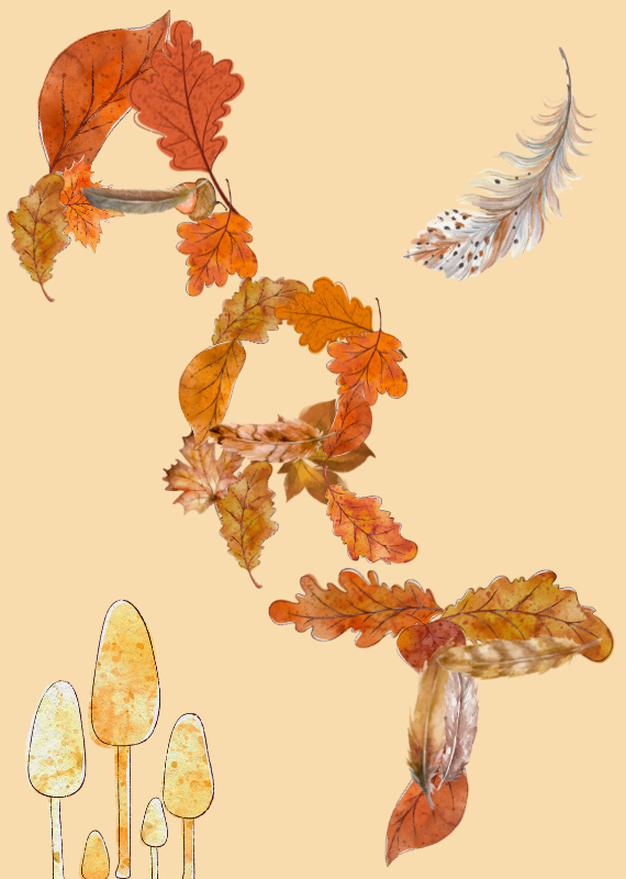 land art Festigraine