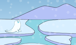 ptit loup banquise 250