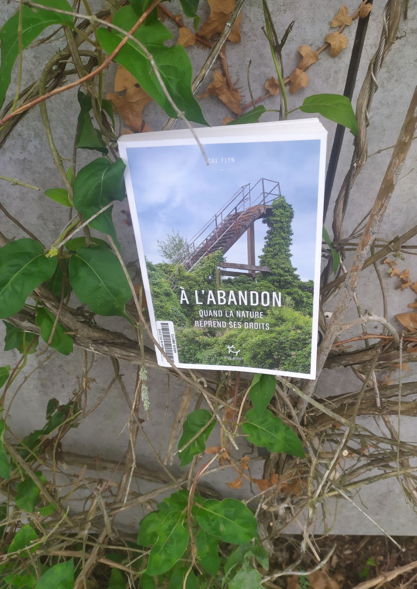 Calendrier avent J21 Nature droits 1